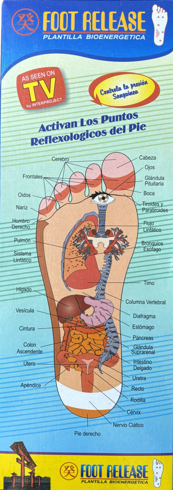 PLANTILLAS MAGNETICAS ADELGAZANTES - Imagen 2